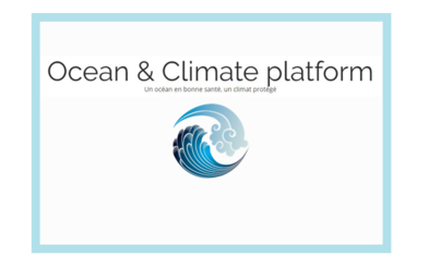 La Plateforme Océan & Climat : un réseau éclectique pour la protection des écosystèmes marins