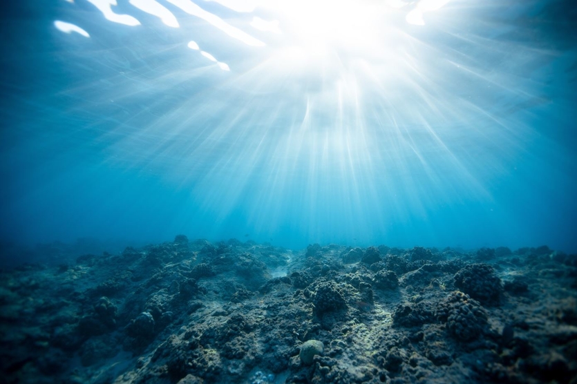 Le GIEC dévoile son rapport spécial « Océan & Cryosphère »