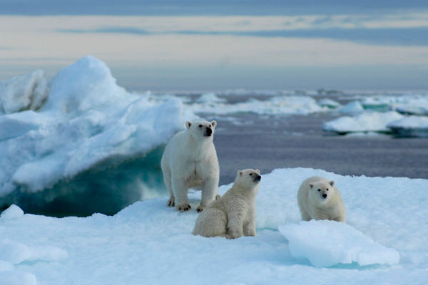 WOMEN OF THE SEAS : ÉPISODE 6 -“PRIS DANS LES GLACES“