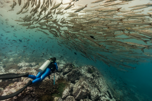 WOMEN OF THE SEAS : ÉPISODE 6 "  LE MONSTRE DE MALPELO "